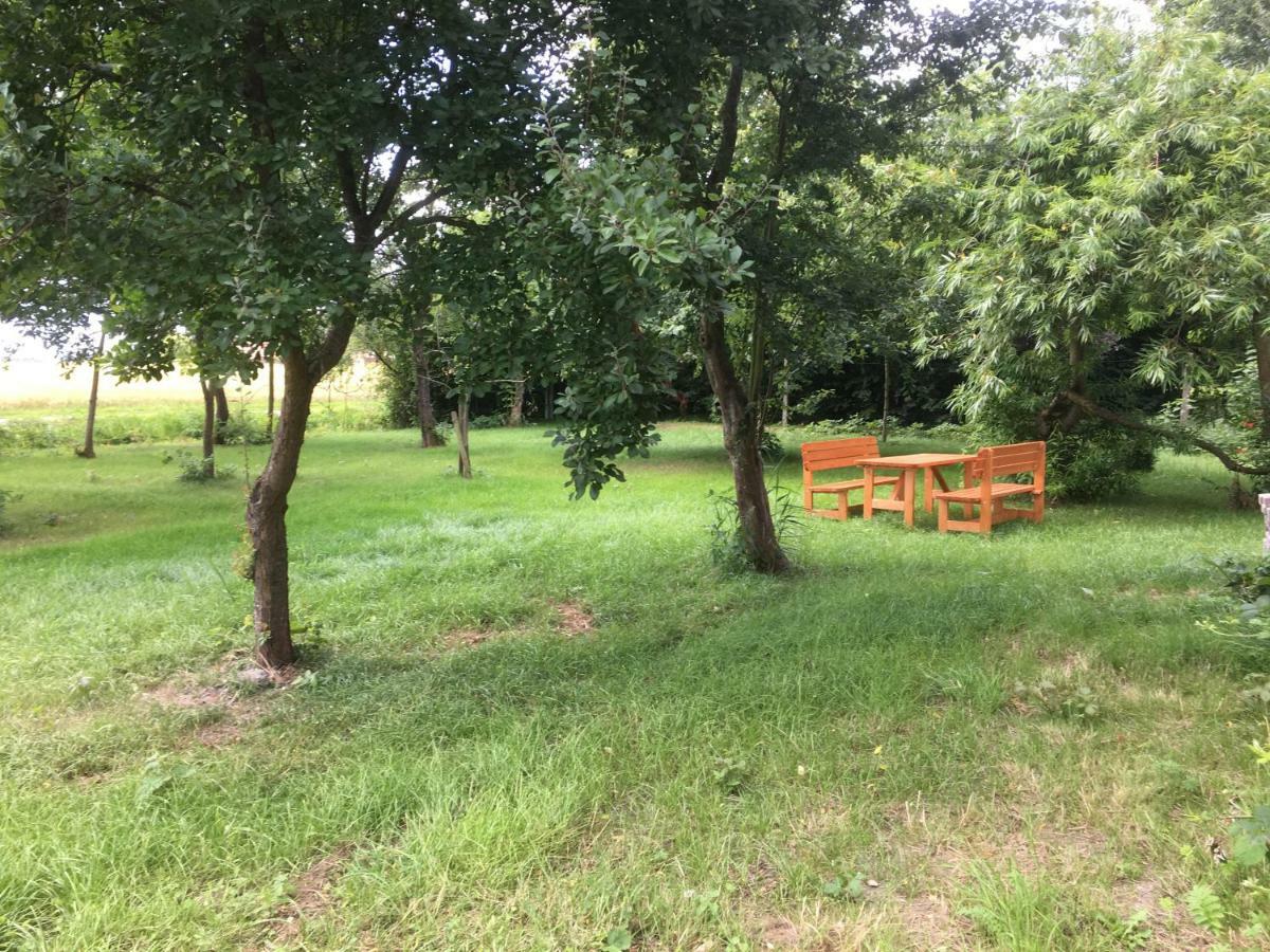 Marijanas Ferienhof 2, Urlaub Mit Viel Platz Zwischen Dornumersiel Und Bensersiel, Gehoert Zum Cafe Kunterbunt Holtgast ภายนอก รูปภาพ